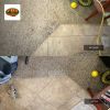 Professional Carpet Repair for Pet Damage in Mesa, AZ