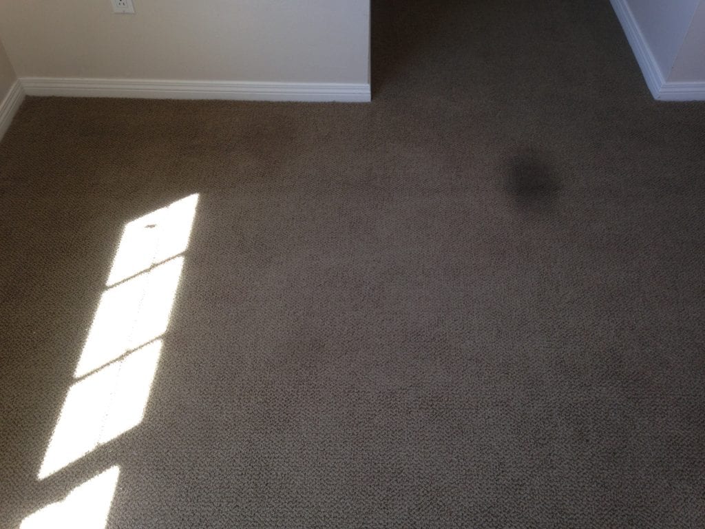 Bumps, Wrinkles, and Buckles in the Carpet Carpet Repair Mesa