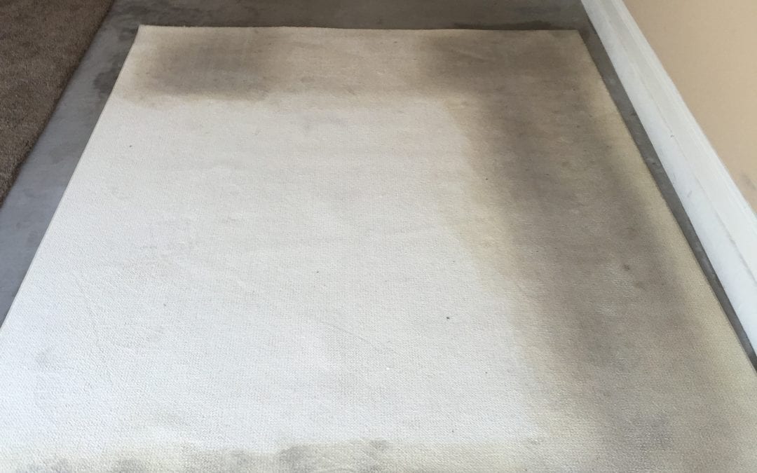 Area Rug Cleaning & Stair Cleaning in Phoenix