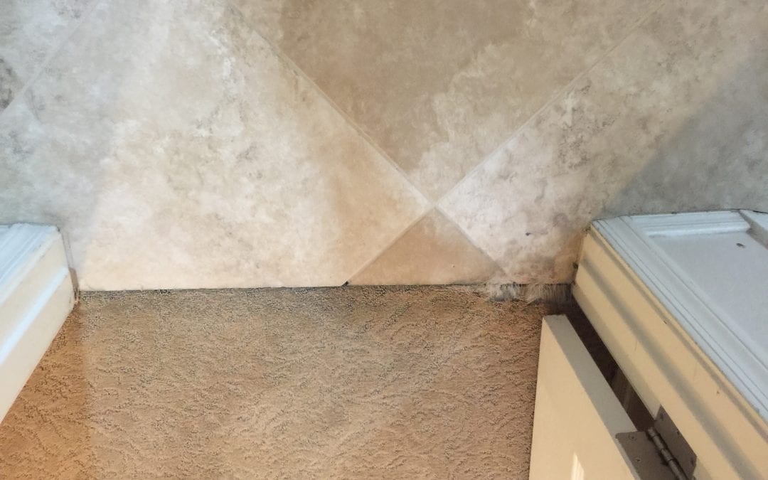 5-Star Review: Carpet Repair in Buckeye, AZ