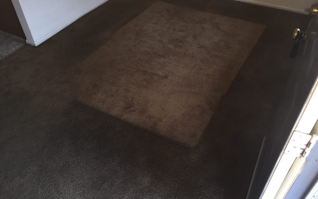 Restorative Carpet Cleaning in Phoenix