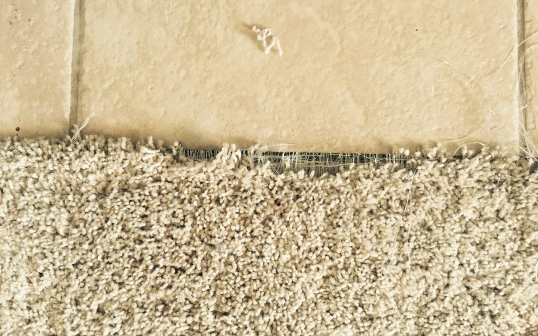 Queen Creek Carpet Repair