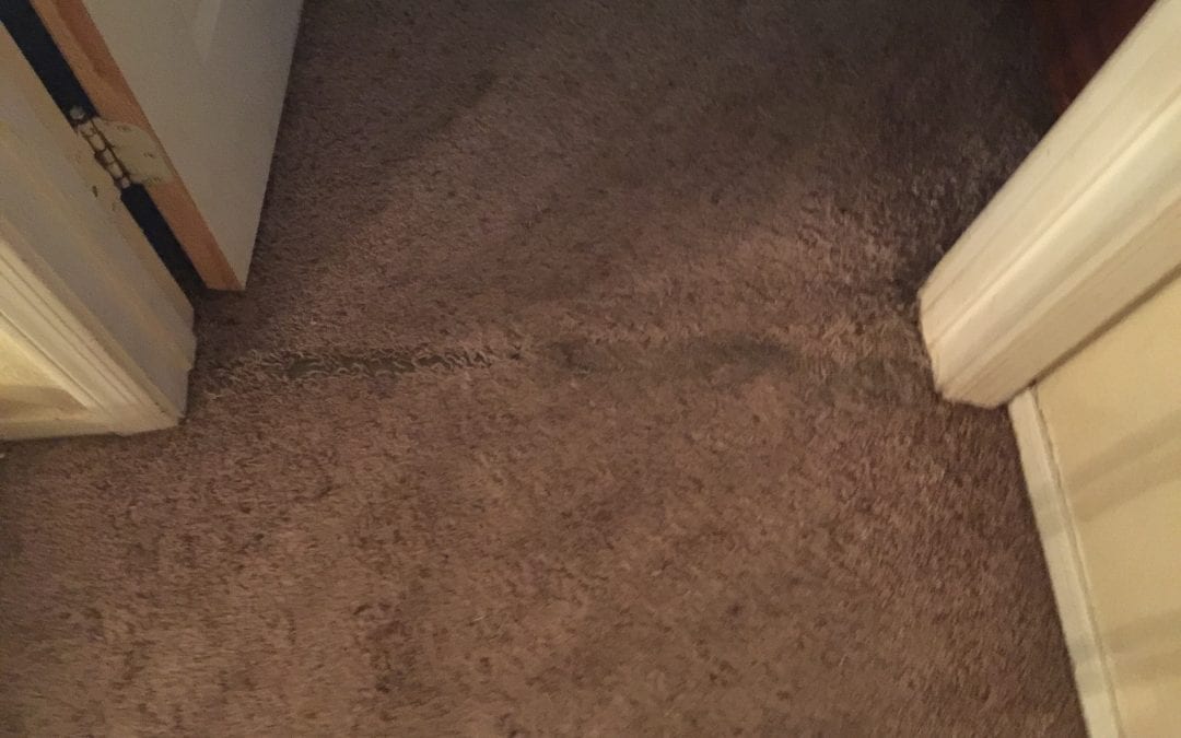 Repairing Carpets in Glendale: High Traffic Areas