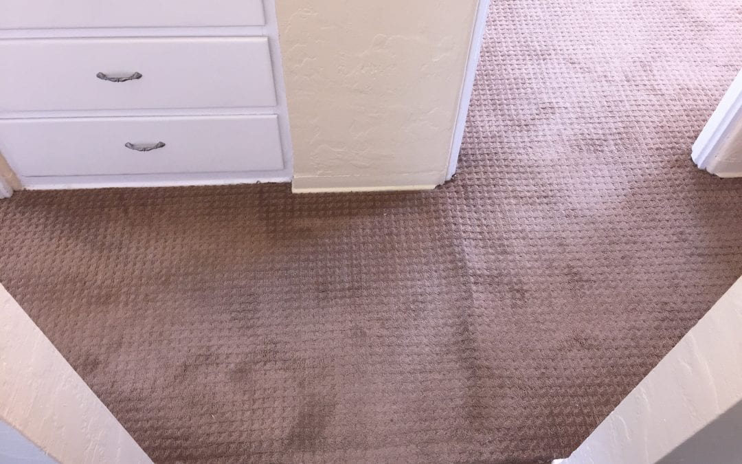Restretching Carpets in Phoenix