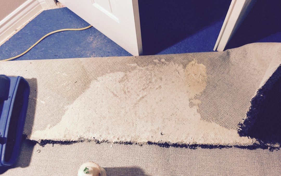 Chandler Carpet Repair: Carpet to Tile Transition