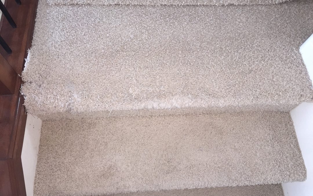Stairs: Carpet Repair in Gilbert
