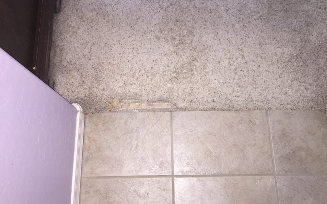 Carpet Repair in surprise: Pet Damage & Seam Repair