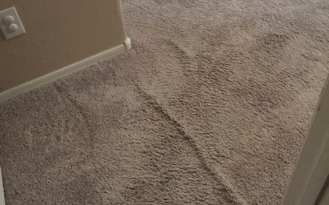 Power Stretching Carpets in surprise