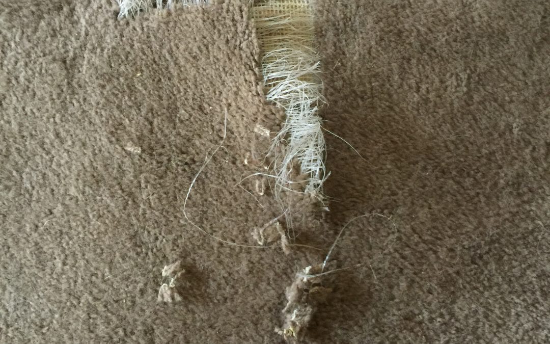 Repairing Carpet in Mesa, AZ