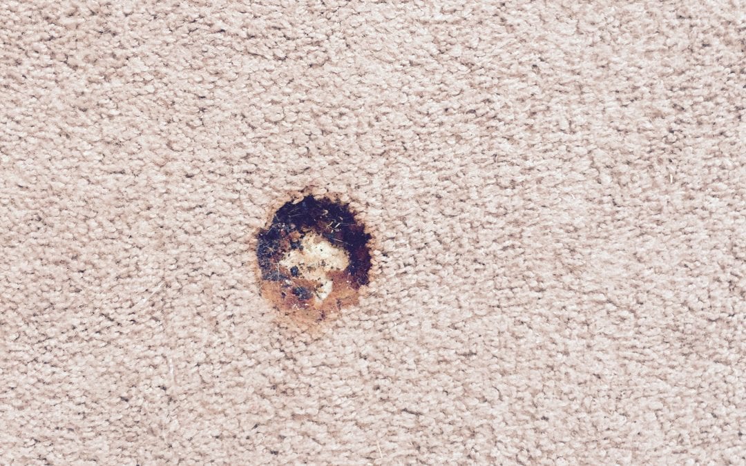 Phoenix, AZ: Repairing Burn Mark in Carpet
