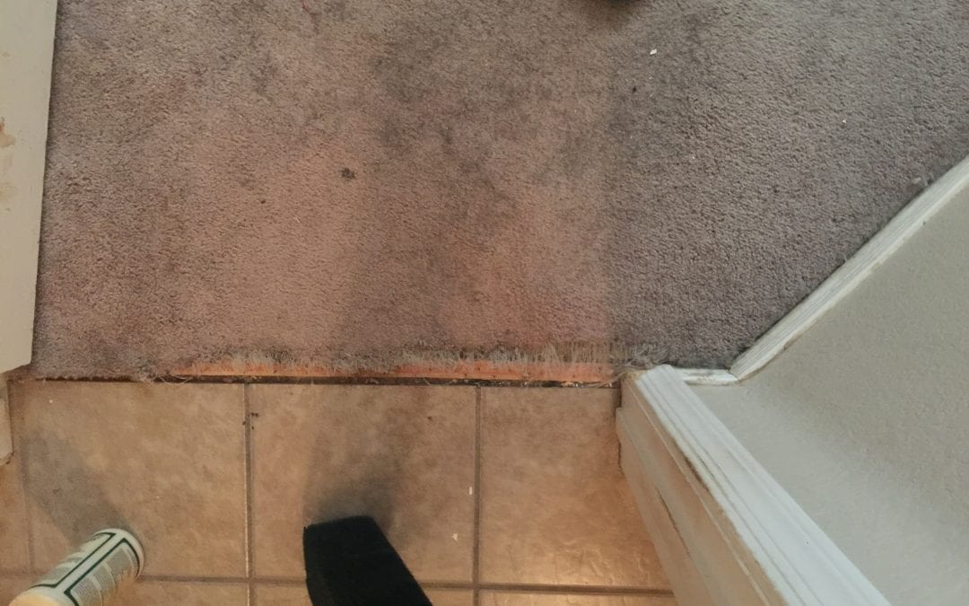 Carpet Repair Specialists in Mesa, AZ