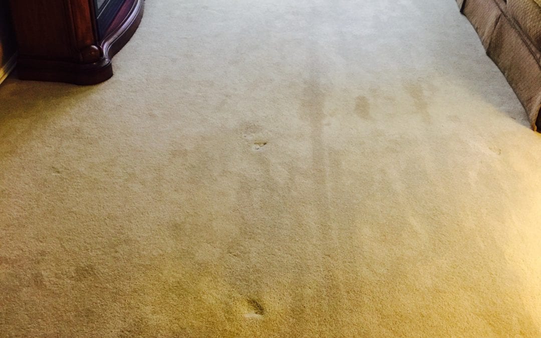 Power Stretching Carpet in Phoenix