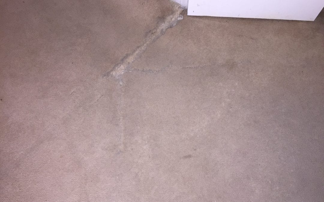 Mesa, AZ: Carpet Repair