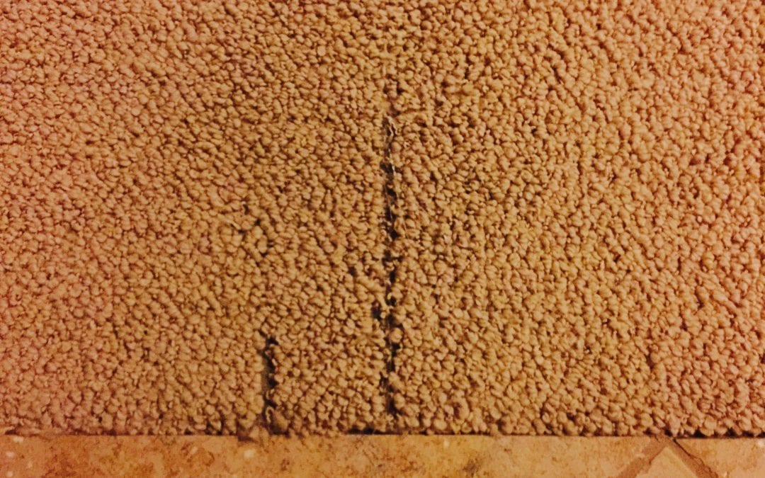 Glendale, AZ: Repairing Berber Carpet