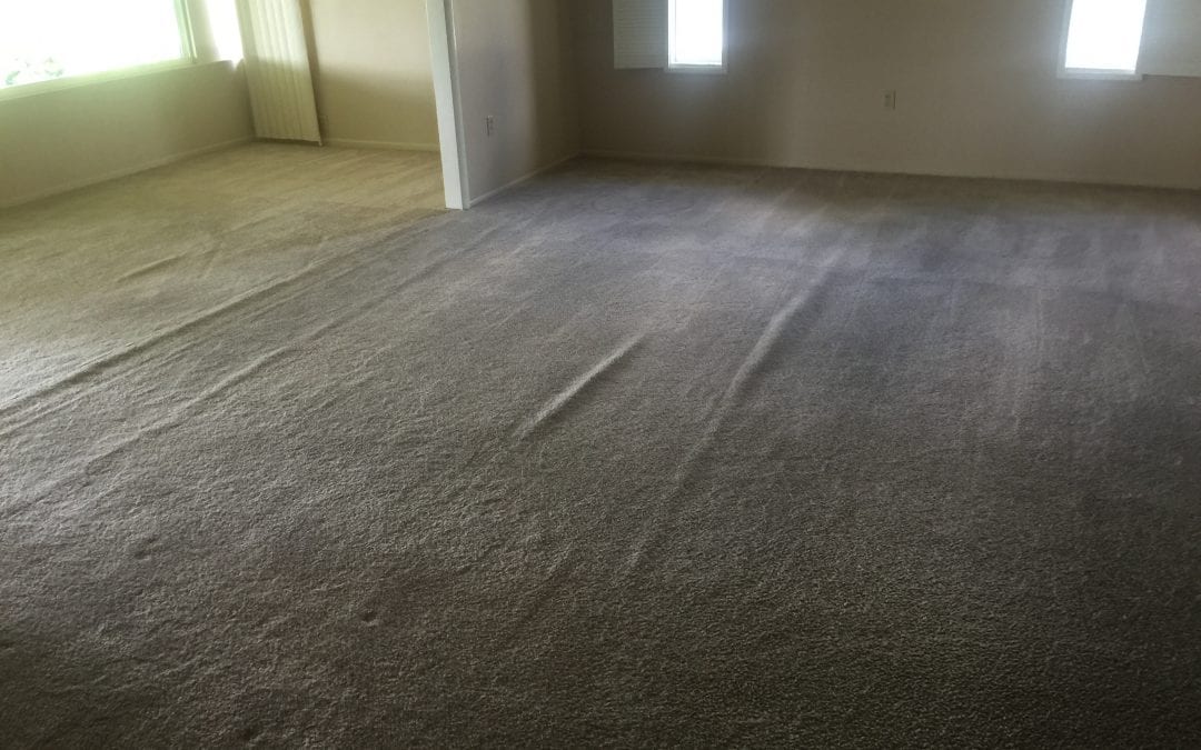 Carpet Stretching in Sun City, AZ