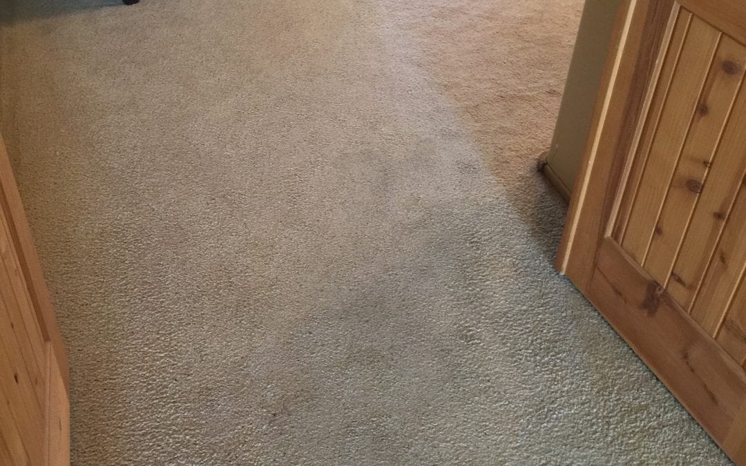Carpet Cleaning in Mesa, AZ