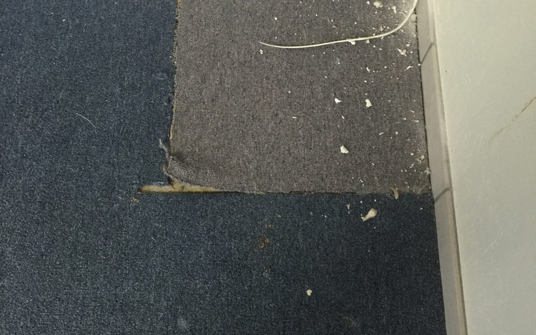 Commercial Carpet Repair in Mesa, AZ