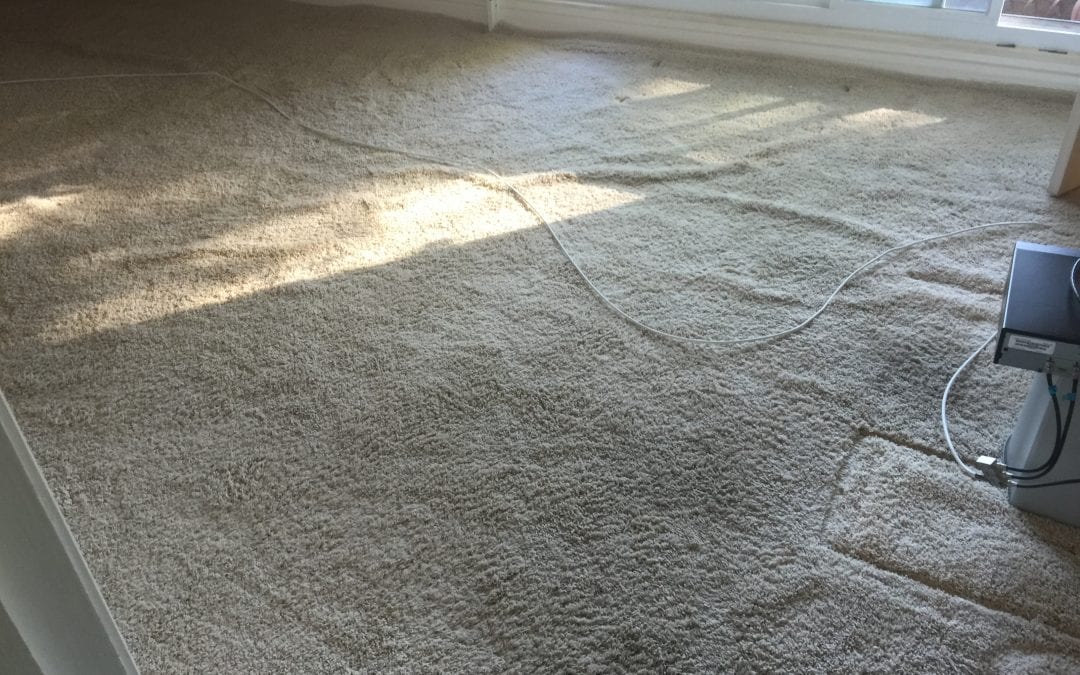 Phoenix, AZ: Stretching & Cleaning Carpet