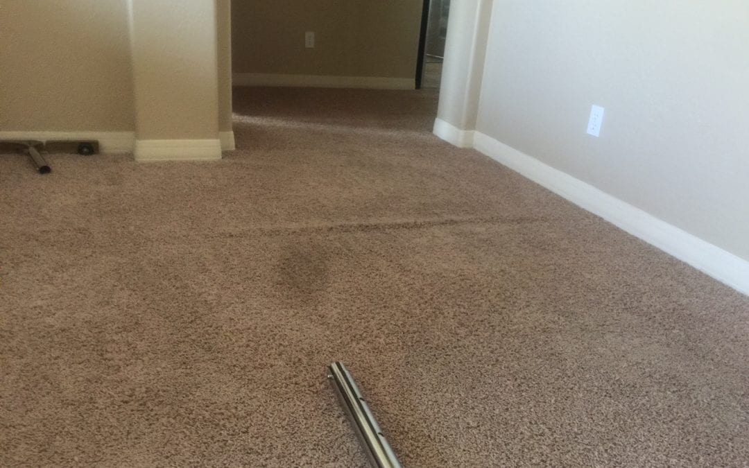 Power Stretching Carpet in Mesa, AZ