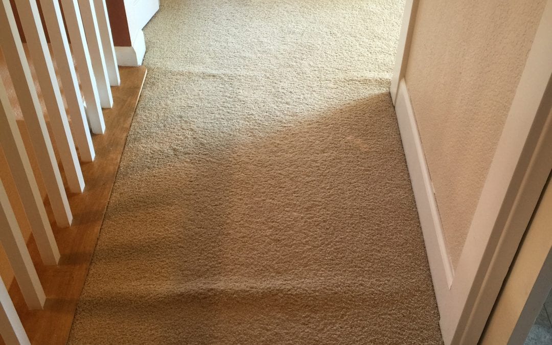 Carpet Repair: Power Stretching Carpet in surprise