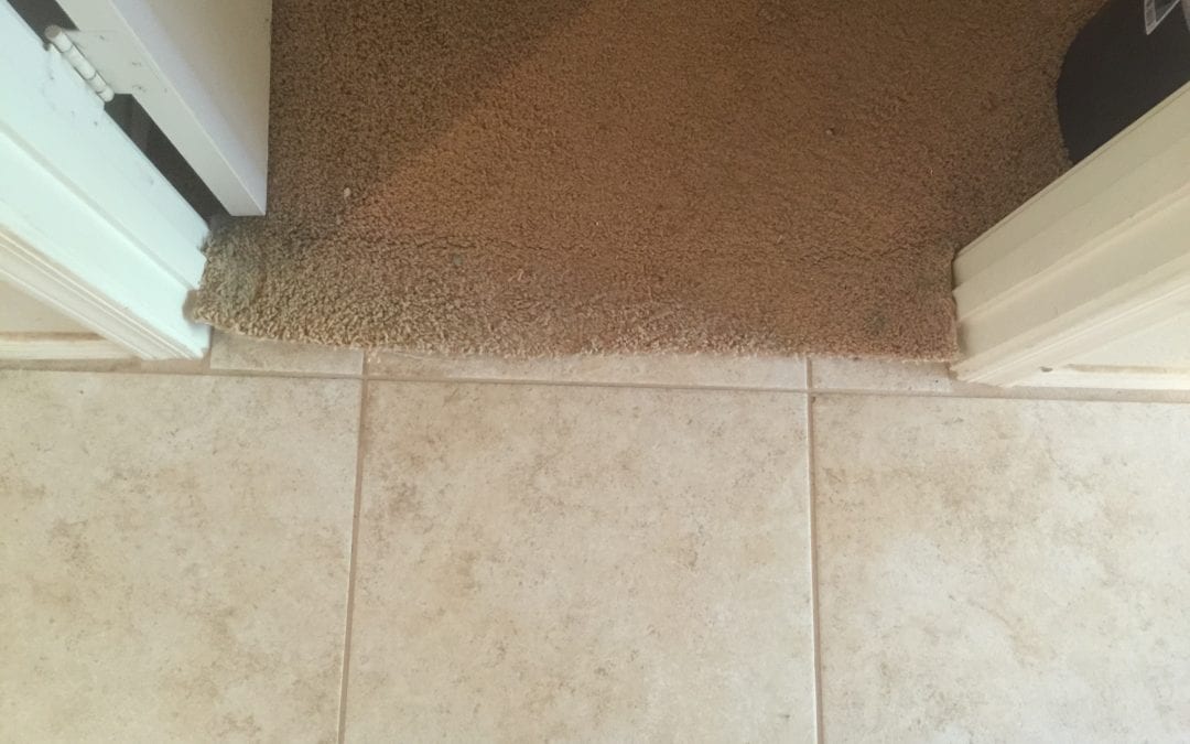 Carpet Repair in Buckeye, Az
