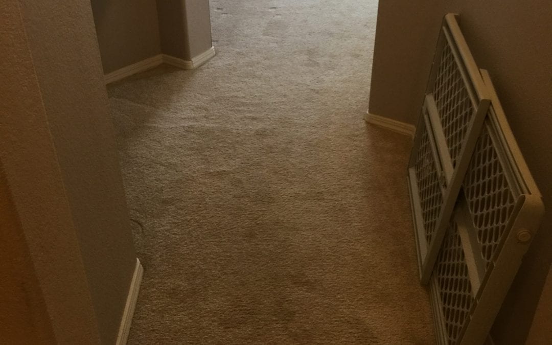 Cleaning High Traffic Areas in Mesa, AZ