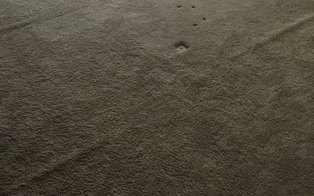 Carpet Stretching in Goodyear, AZ