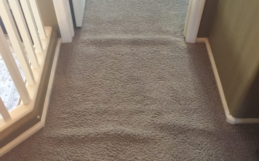 Power Stretching Carpet in Mesa, AZ