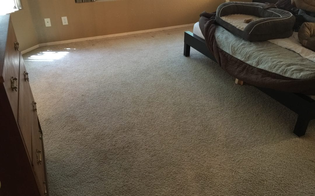 Avondale, AZ: Carpet Cleaning in the West Valley