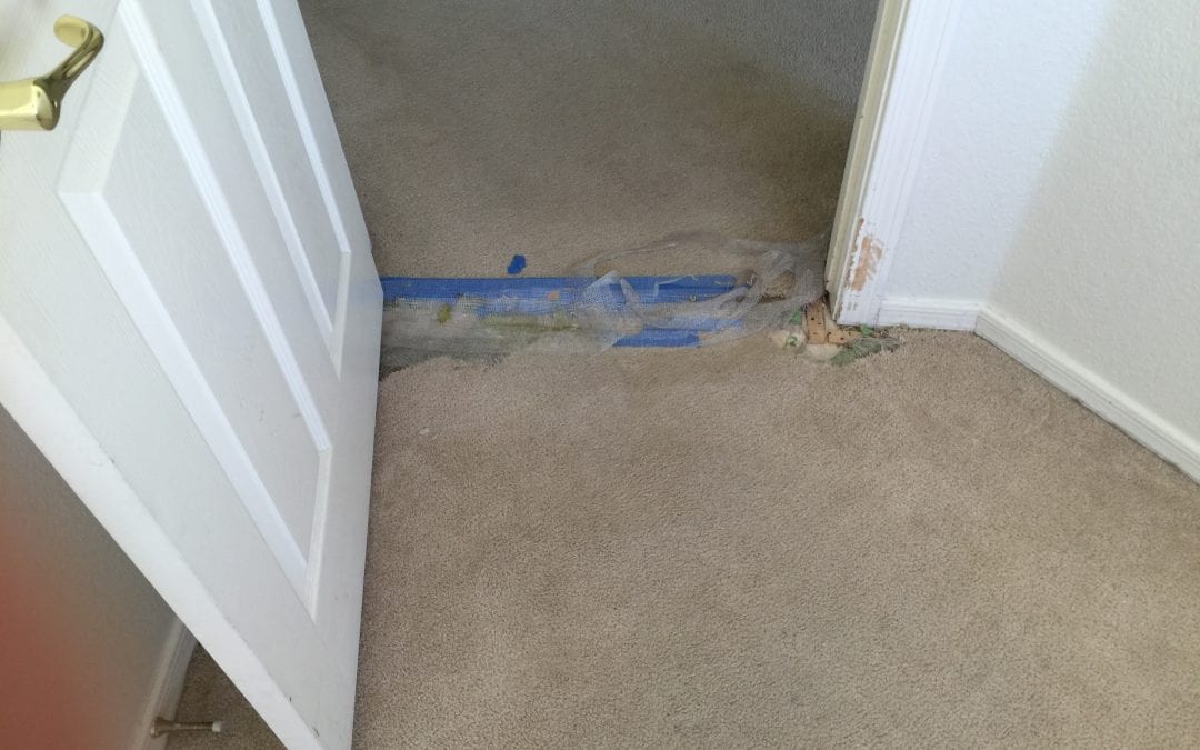 Repairing Carpet in the East Valley