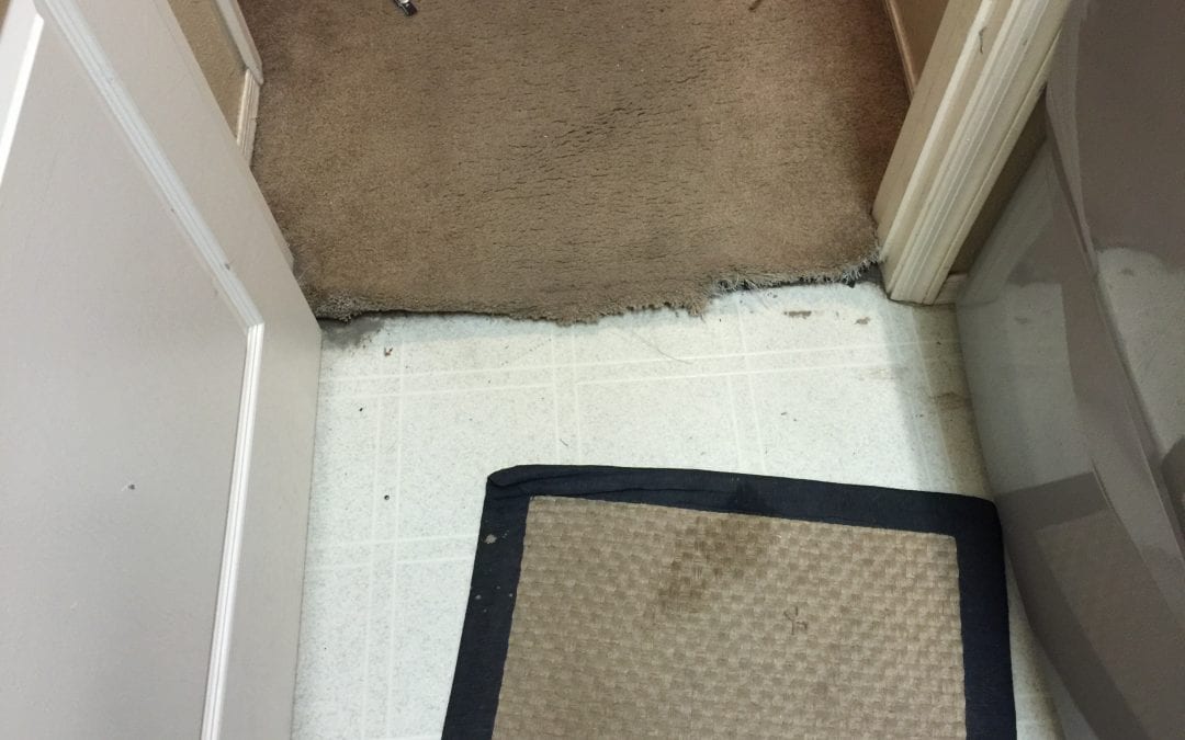 Repairing Carpet-to-Tile Transition in Gilbert, AZ