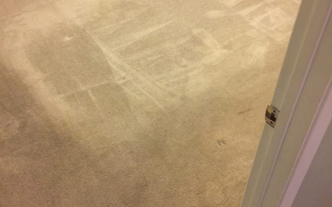 Carpet Repair in the West Valley
