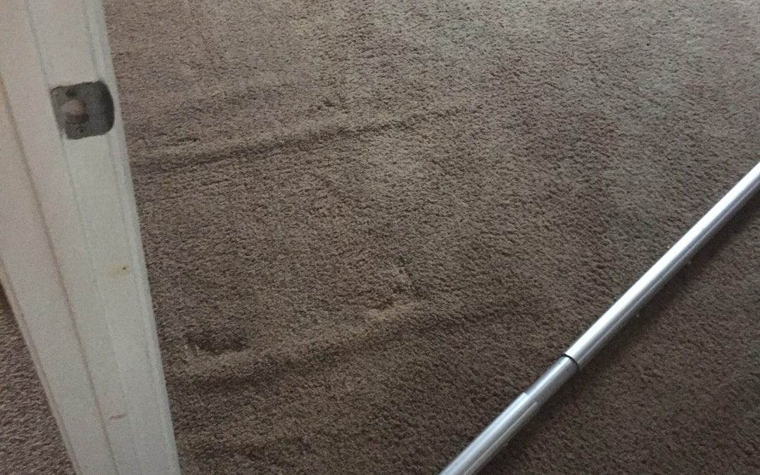 Carpet Repair Along Baseboard in surprise
