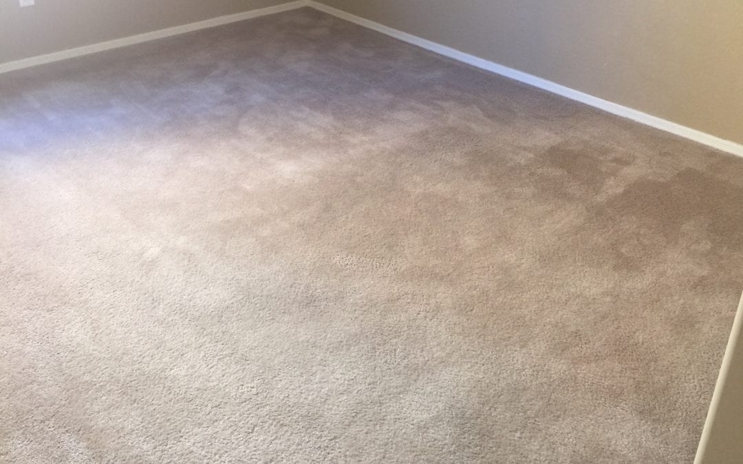Carpet Cleaning Specialists in Buckeye