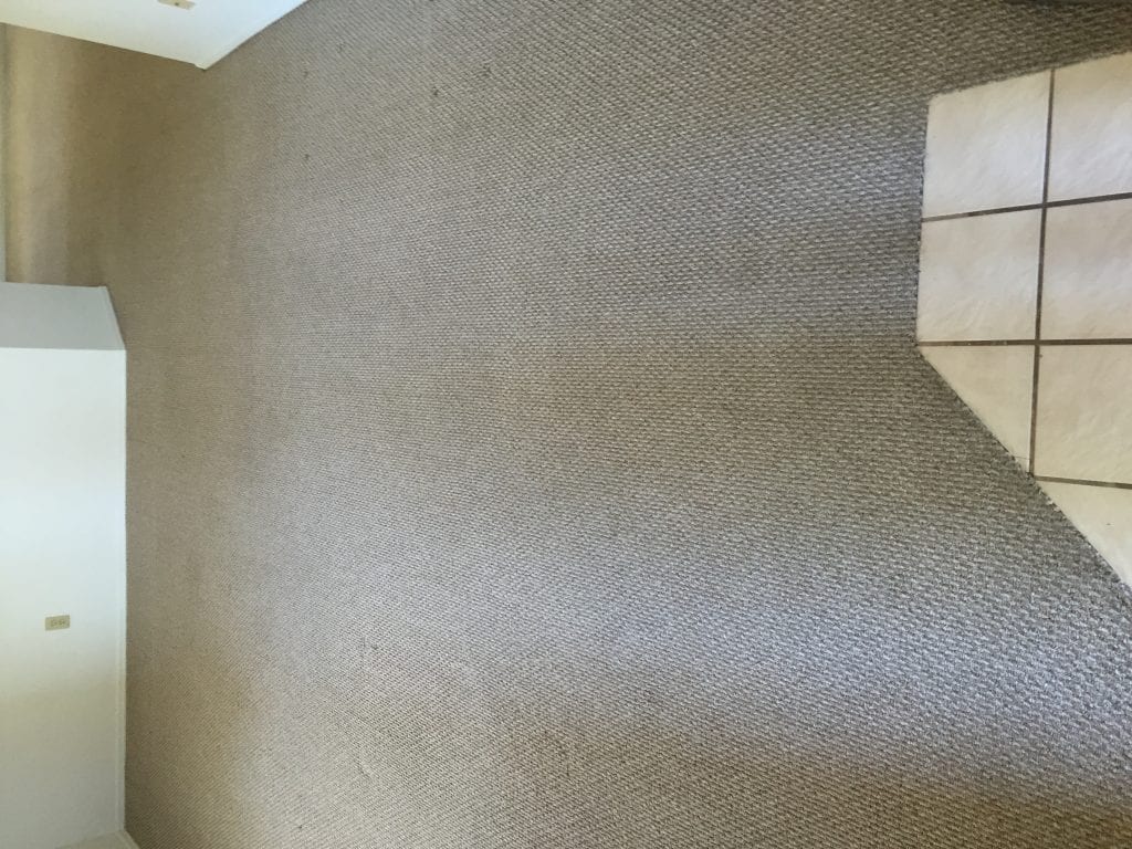 Carpet Cleaning Services in Mesa Carpet Repair Mesa