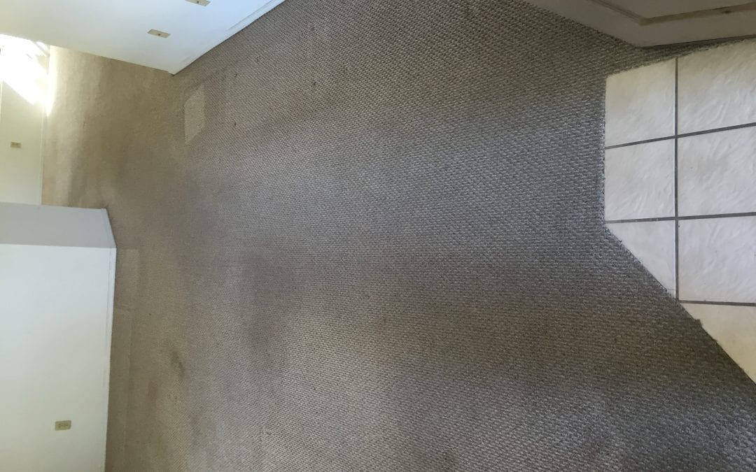 Carpet Cleaning Services in surprise