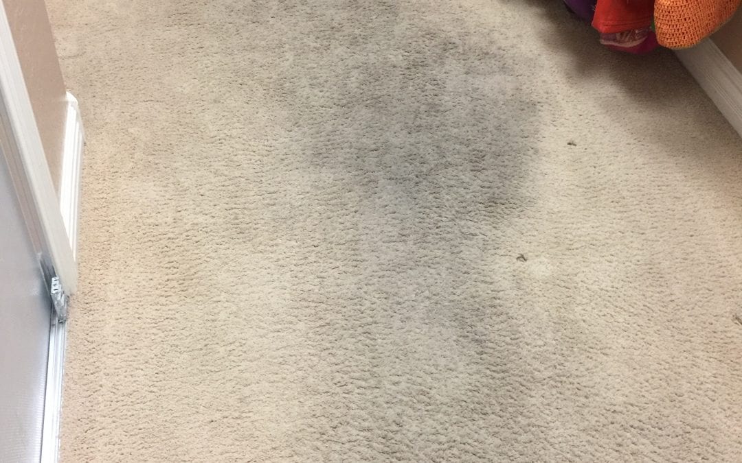 Goodyear, AZ: Carpet Cleaning