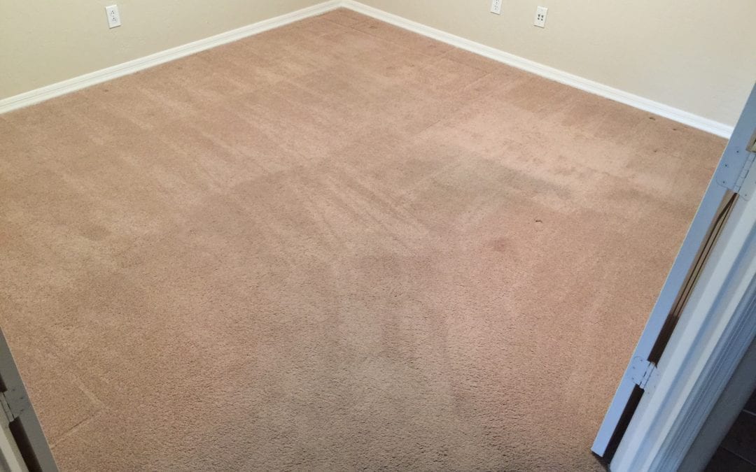 Litchfield Park, AZ: Carpet Cleaning