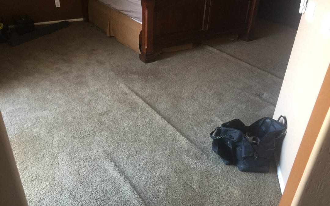 Mesa, AZ: Carpet Stretching