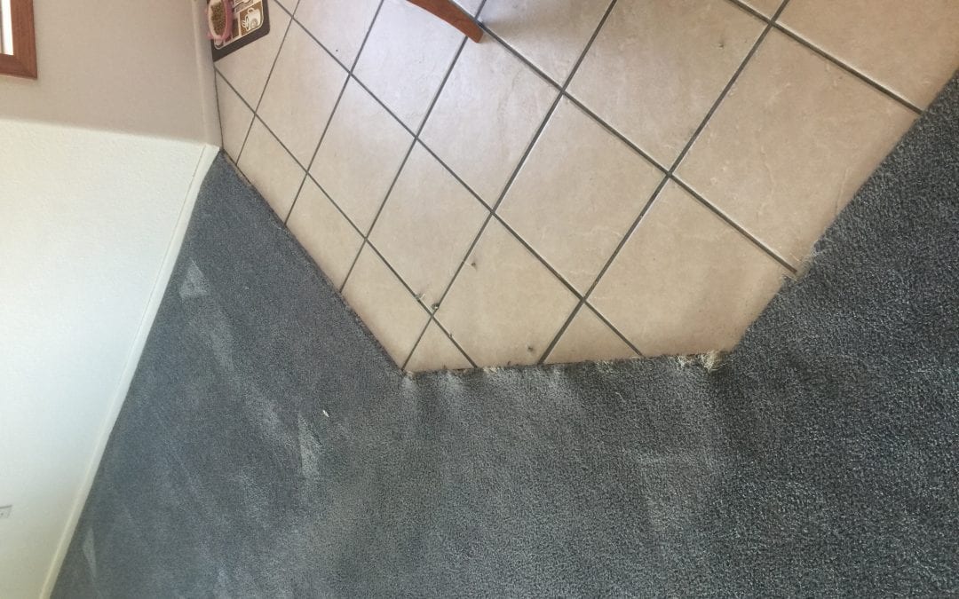 Phoenix, AZ: Carpet Repair Stretching