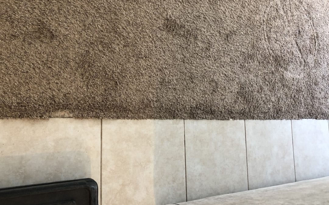 Mesa, AZ: Carpet Repair
