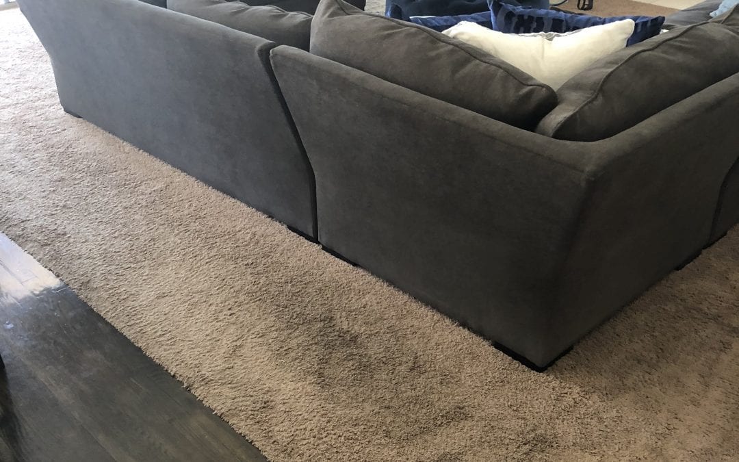 Mesa, AZ: Carpet Cleaning