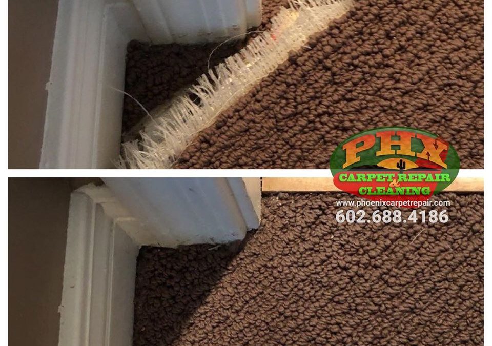 Mesa, AZ: Carpet Repair