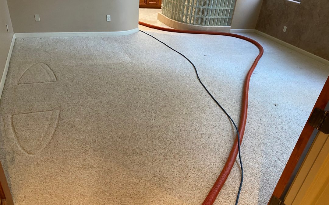 Rejuvenating Retreat: Carpet Cleaning in Mesa, AZ