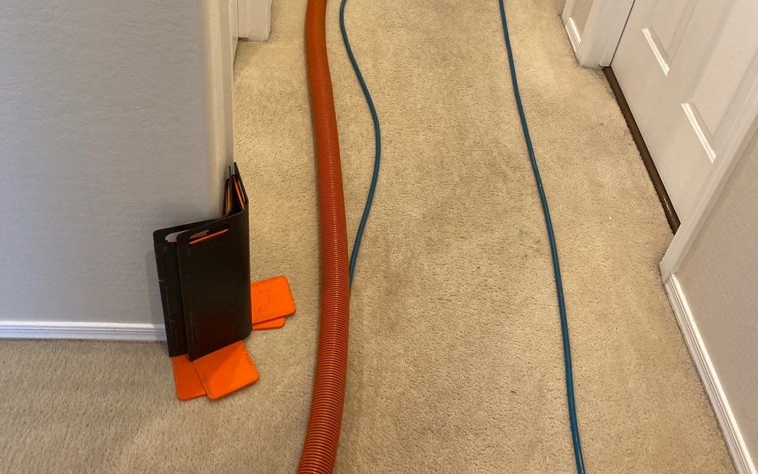 Protecting Every Inch: The Importance of Corner Guards in Carpet Cleaning