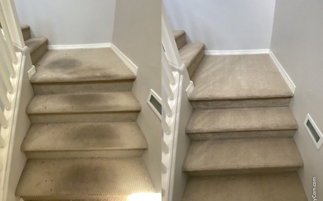 Bringing High-Traffic Stairs Back to Life: A Success Story with Mesa Carpet Repair & Cleaning