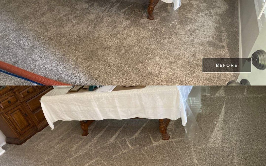 Transforming Dining Spaces: A Cleaning Success Story by Mesa Carpet Repair & Cleaning