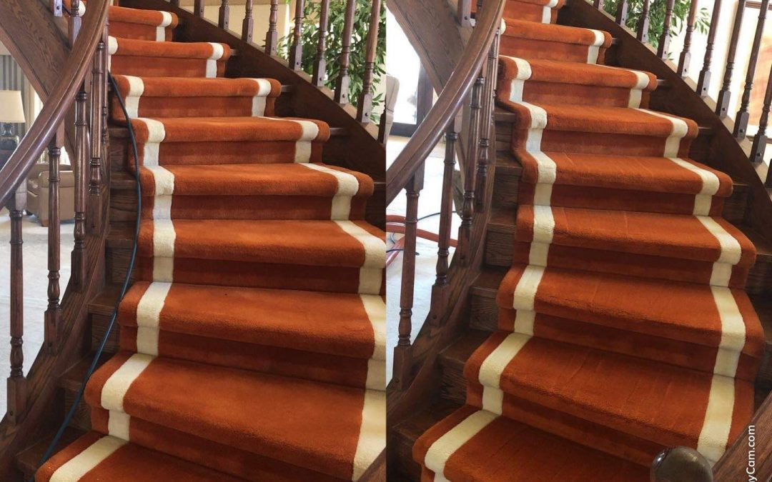 Refresh Your Home with Professional Carpet Cleaning from Mesa Carpet Repair and Cleaning