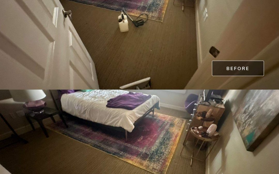 Fresh and Clean: Carpet Cleaning Services by Mesa Carpet Repair & Cleaning