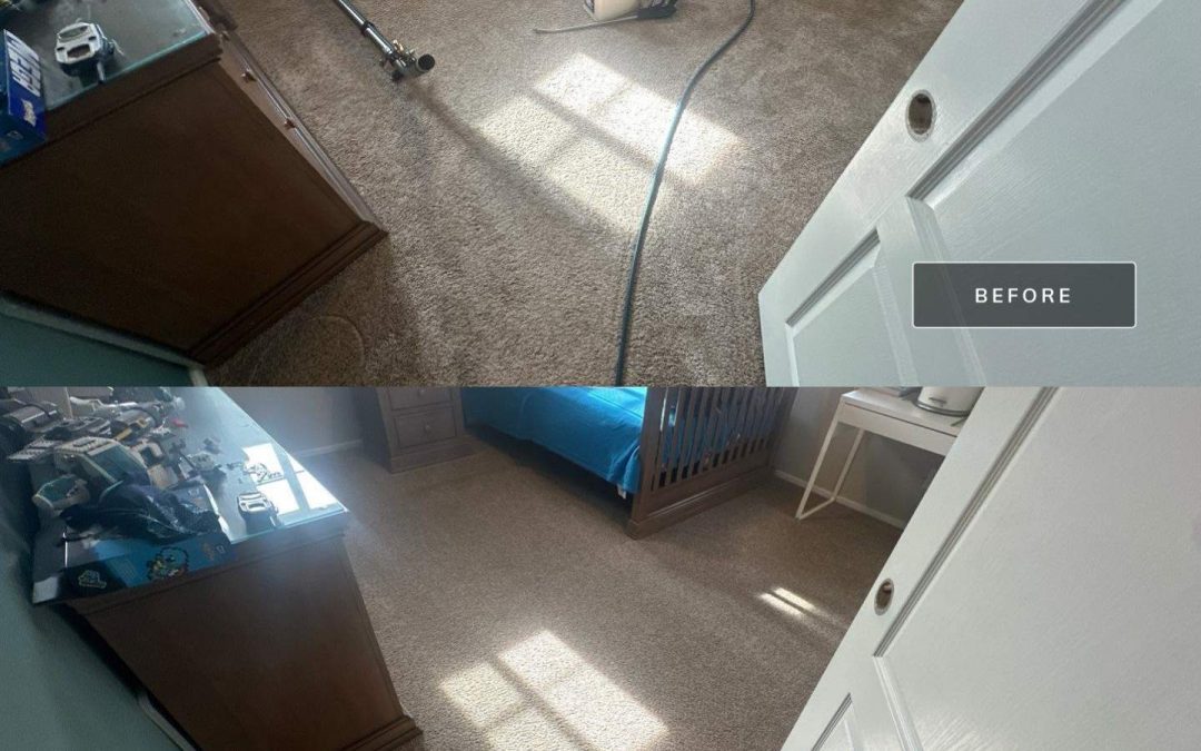 Refresh Your Home with Expert Carpet Cleaning from Mesa Carpet Repair & Cleaning